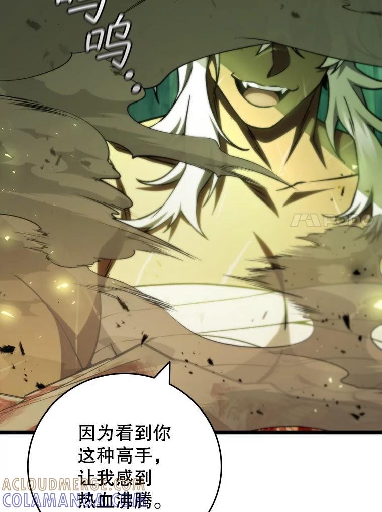 《噬龙魔法师》71.合格 第17页