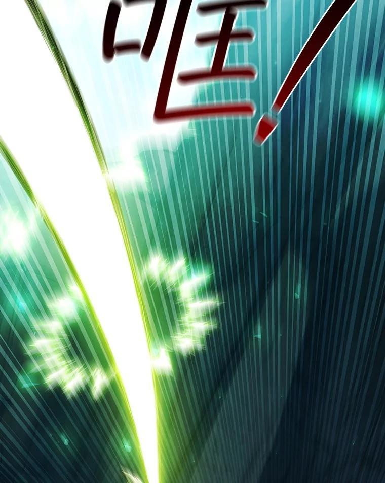《噬龙魔法师》71.合格 第66页