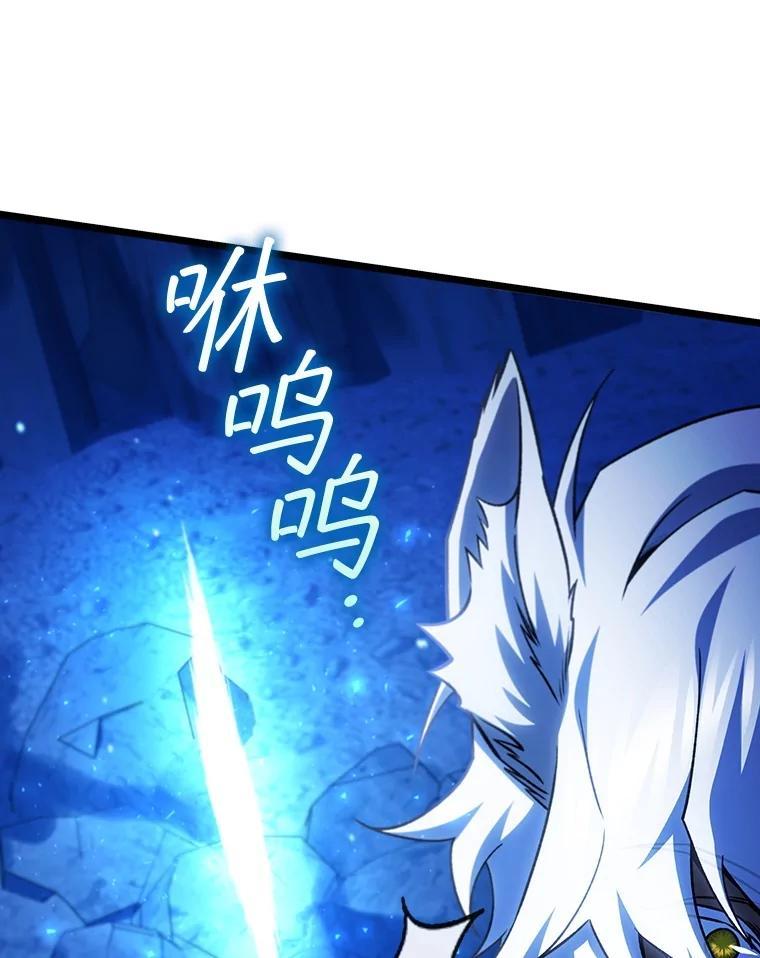 《噬龙魔法师》71.合格 第79页