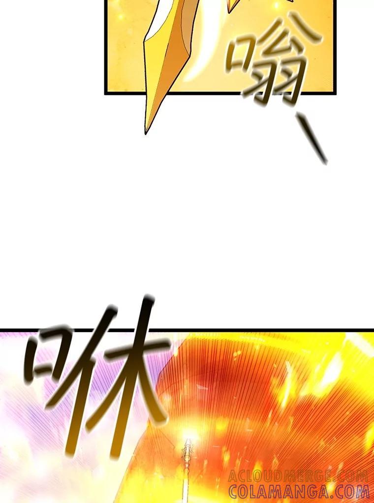 《噬龙魔法师》71.合格 第101页