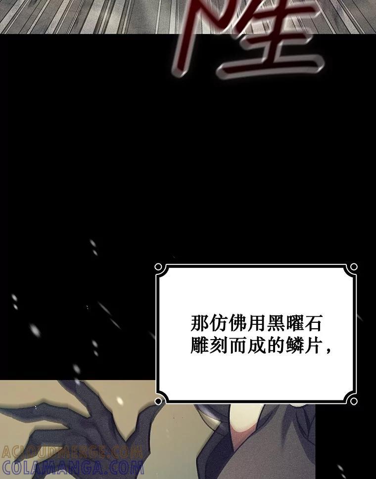 《噬龙魔法师》72.龙神王 第141页
