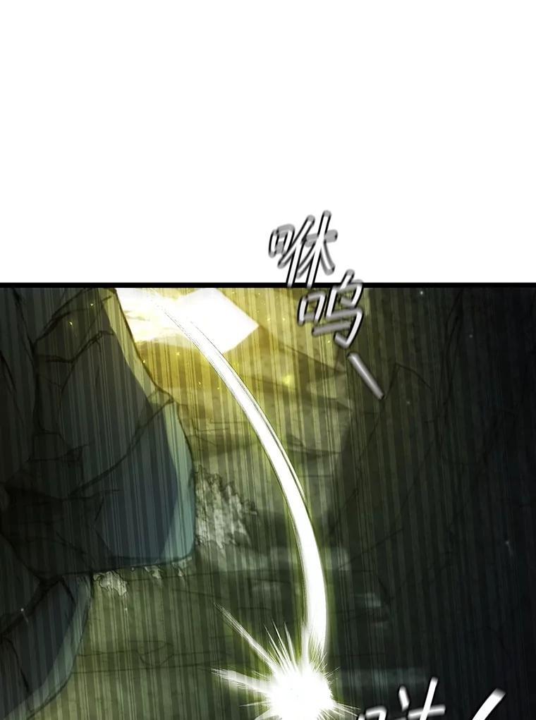 《噬龙魔法师》72.龙神王 第47页