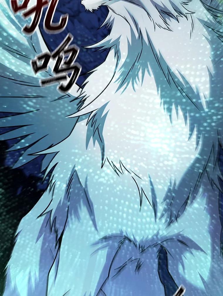 《噬龙魔法师》72.龙神王 第111页
