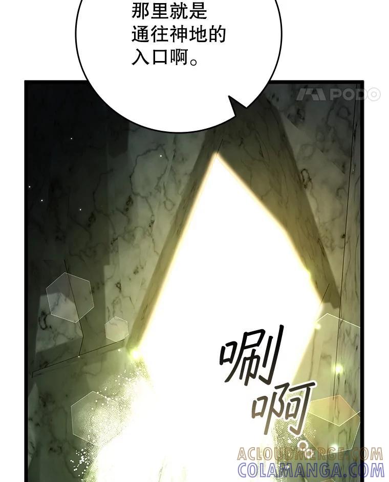《噬龙魔法师》72.龙神王 第41页