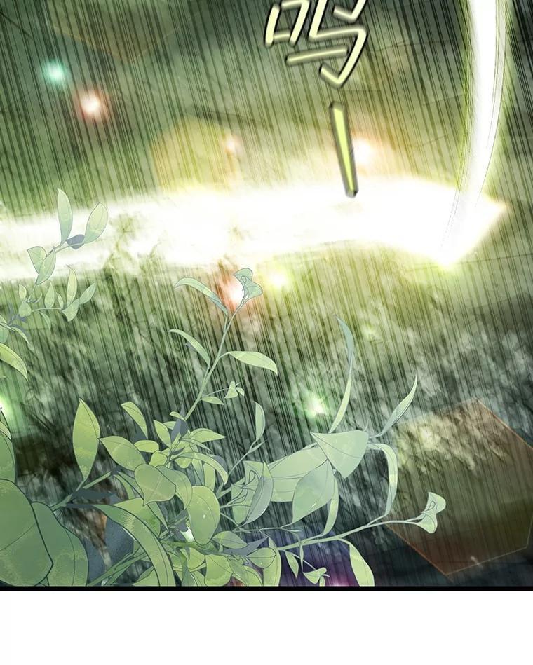 《噬龙魔法师》72.龙神王 第46页