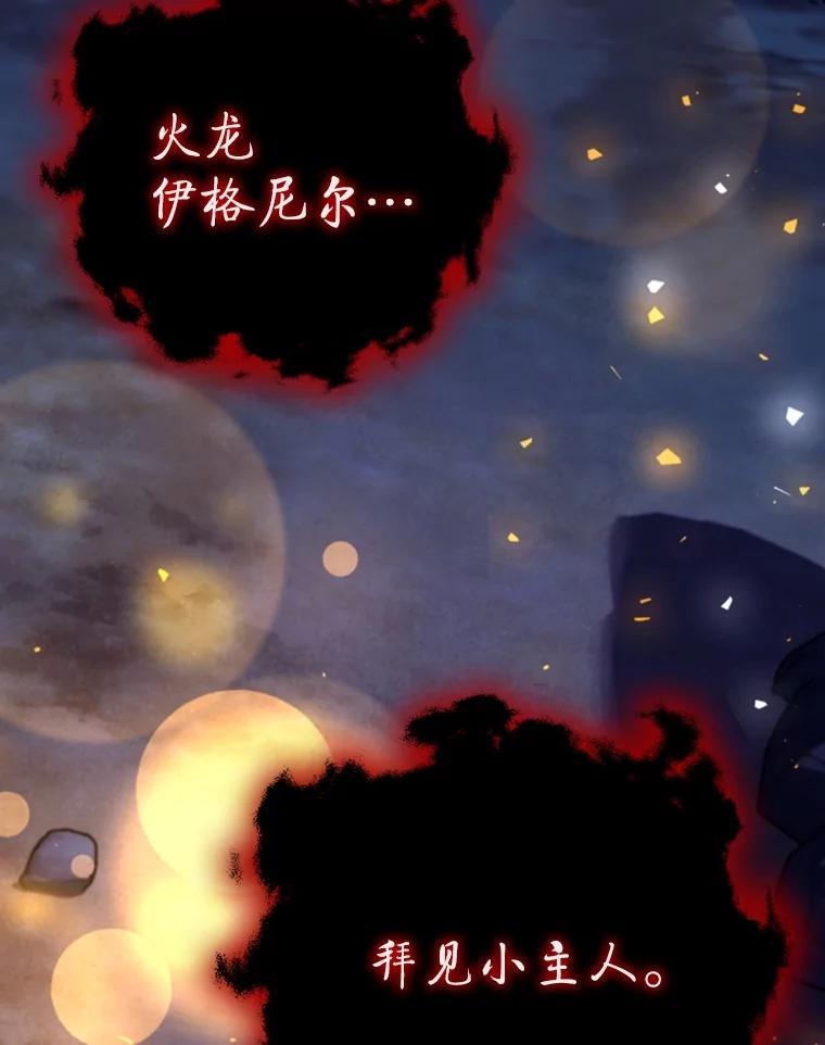 《噬龙魔法师》72.龙神王 第95页