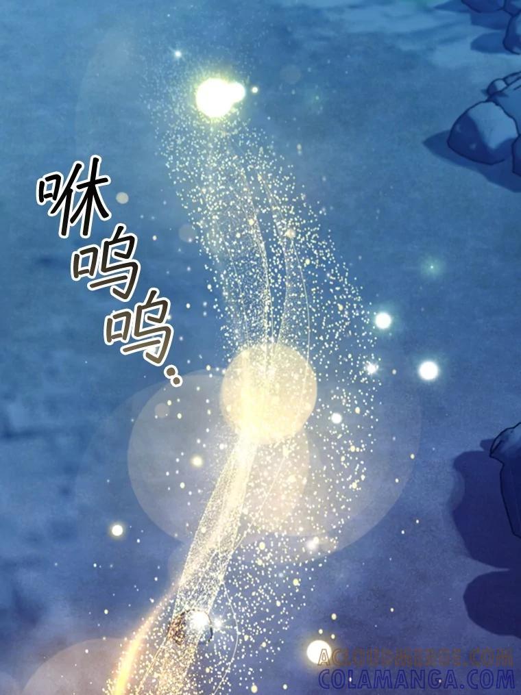 《噬龙魔法师》72.龙神王 第89页