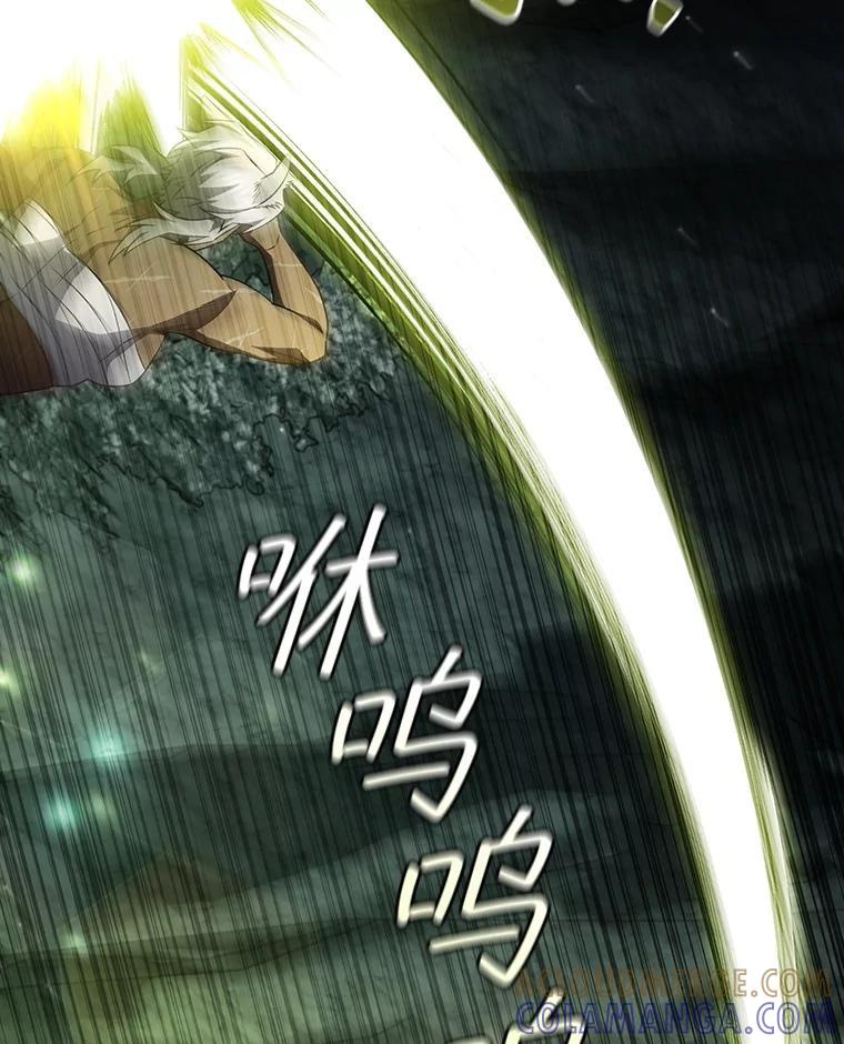 《噬龙魔法师》72.龙神王 第45页