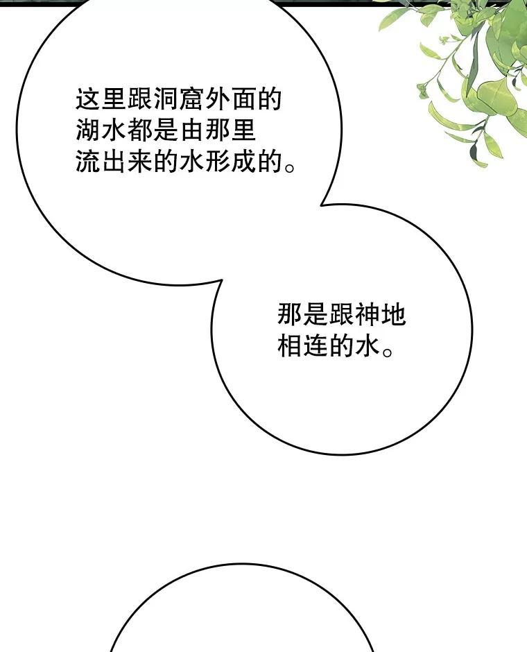 《噬龙魔法师》72.龙神王 第40页