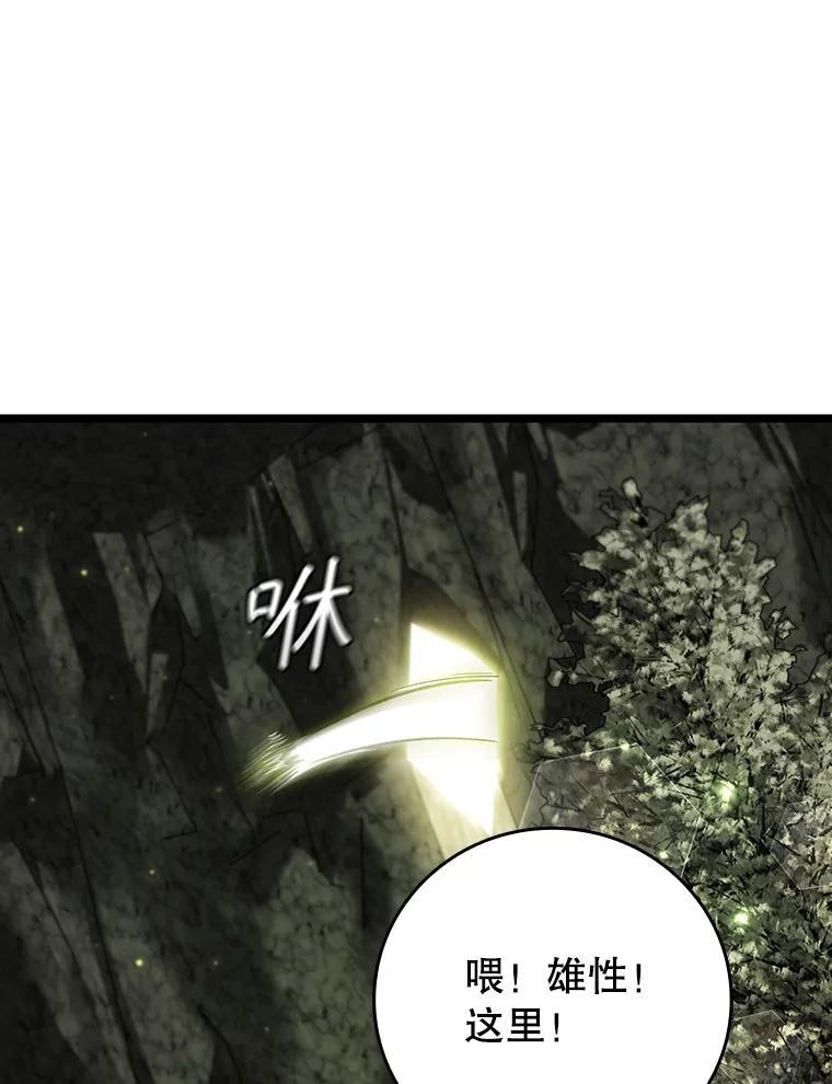 《噬龙魔法师》73.月石兽化 第78页