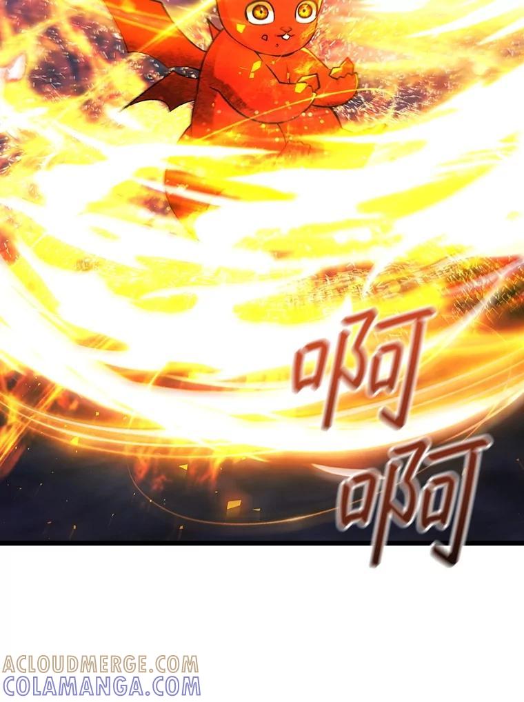 《噬龙魔法师》73.月石兽化 第65页