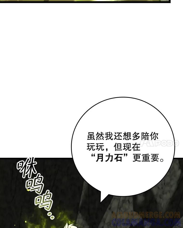 《噬龙魔法师》73.月石兽化 第93页