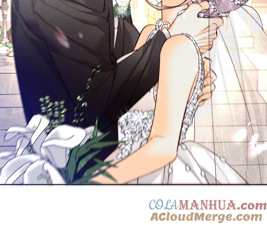 《男友半糖半盐》104·暗藏杀机的婚礼 第49页