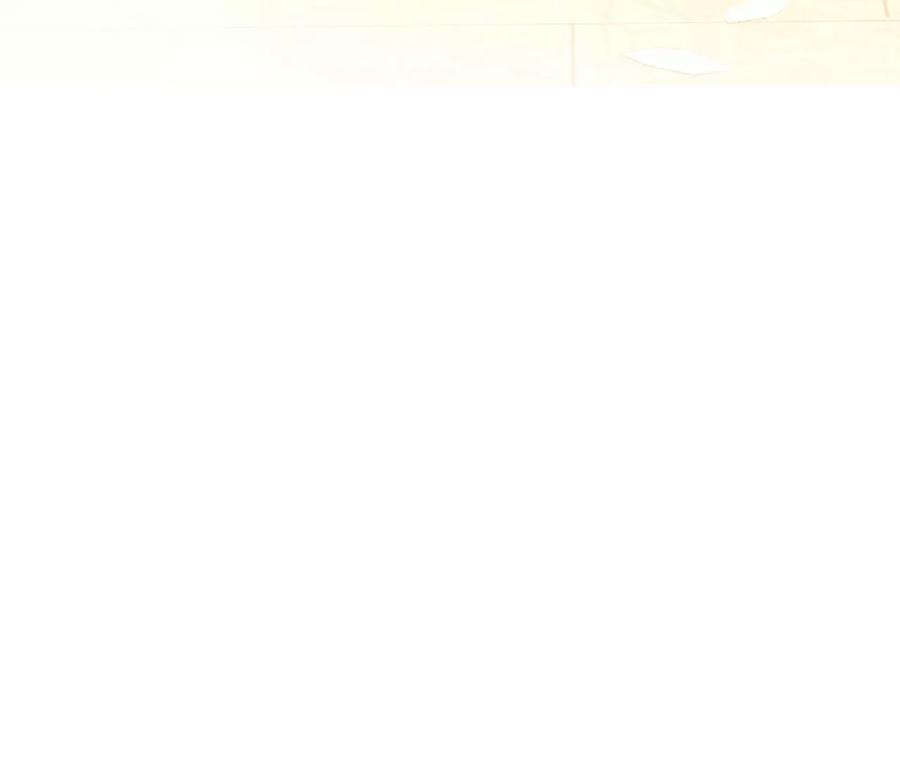 《男友半糖半盐》104·暗藏杀机的婚礼 第11页