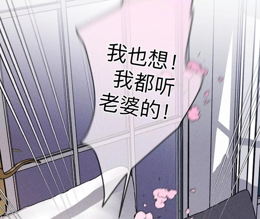 《男友半糖半盐》134·假怀孕风波 第74页