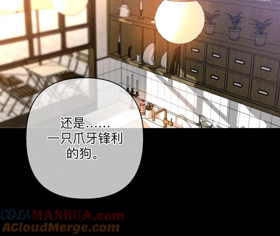 《男友半糖半盐》147·杯弓蛇影 第113页