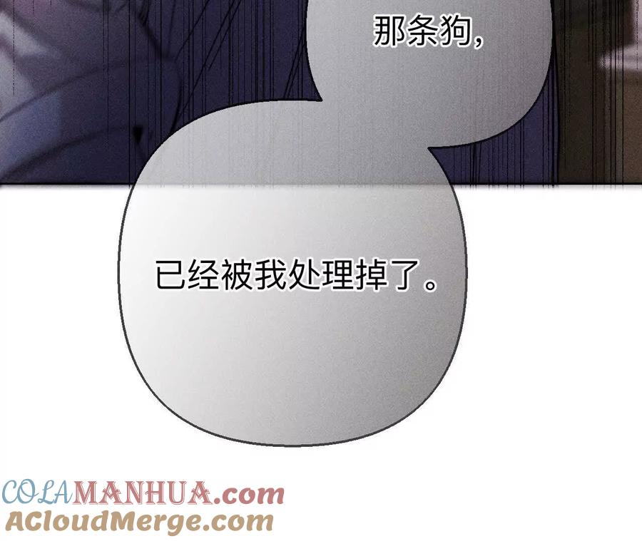 《男友半糖半盐》147·杯弓蛇影 第117页