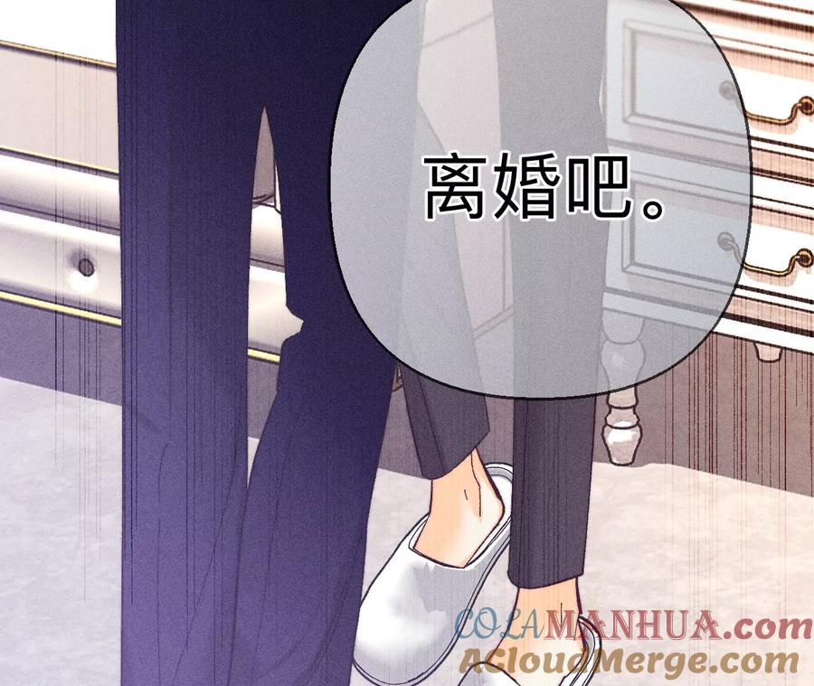 《男友半糖半盐》150·离婚 第94页