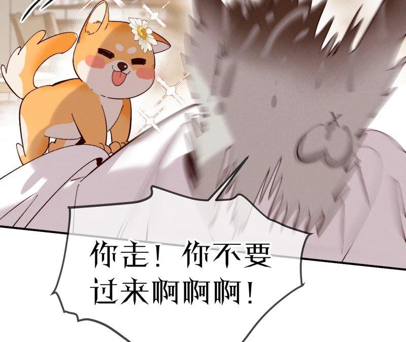 《男友半糖半盐》14·白占他便宜 第35页