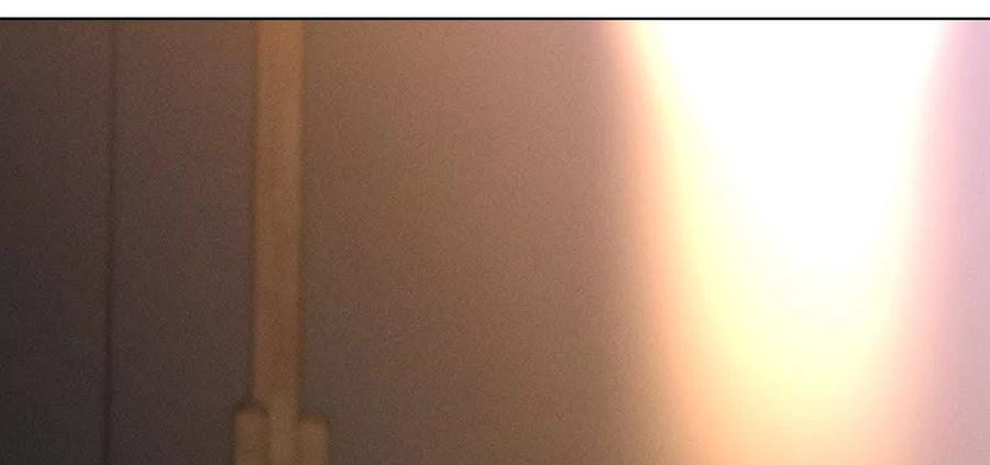 《男友半糖半盐》上个时空的终局 第84页