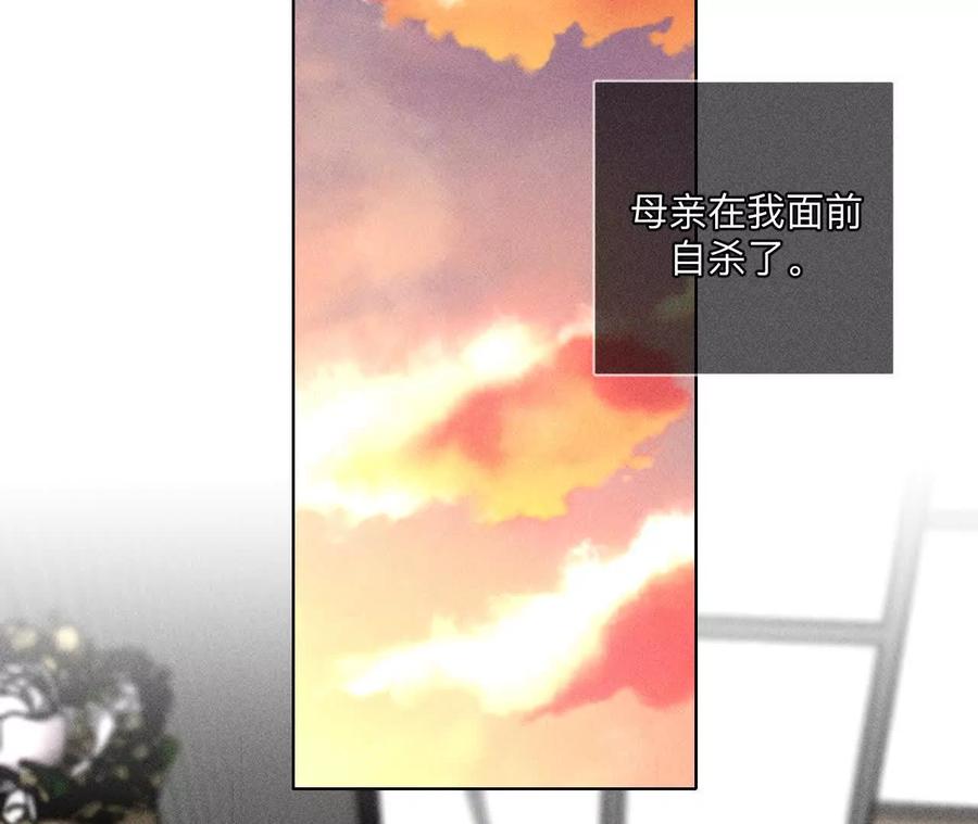 《男友半糖半盐》母亲之死 第63页