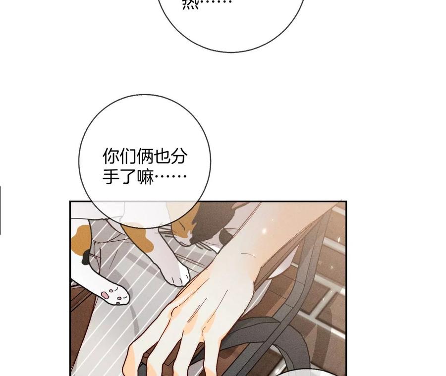 《男友半糖半盐》48·为他人做嫁衣？ 第65页