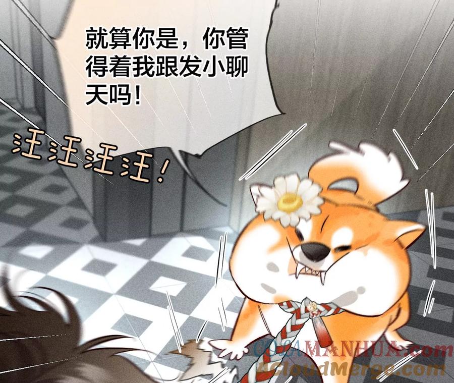 《男友半糖半盐》56·小骗子骗心骗色 第57页