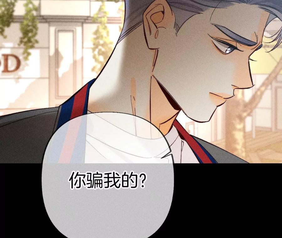 《男友半糖半盐》77·戳开谎言 第39页
