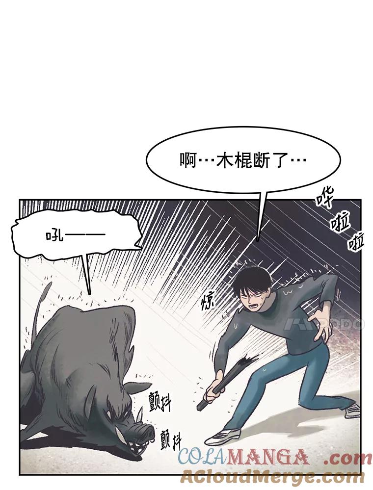 《欢迎收看书生秀》43.野猪袭击 第37页