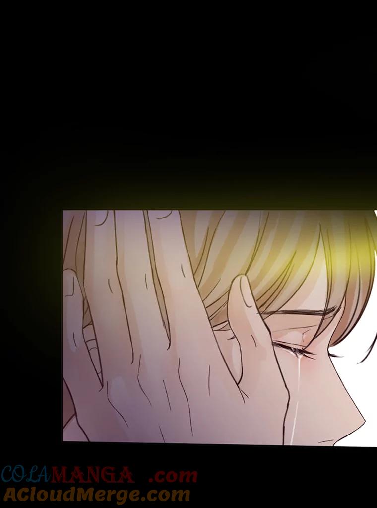 《触发嫉妒》88.不想失去 第46页