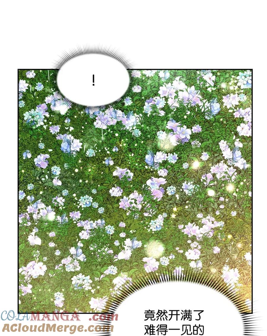 《死灵法师的进化特质》29 原罪 第73页
