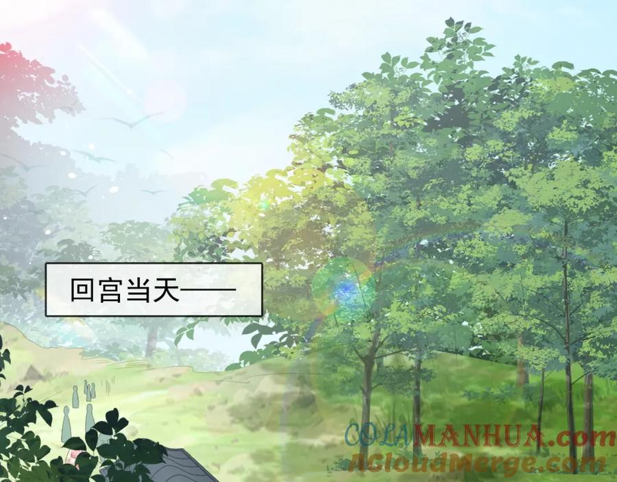 内侍每天都想离皇上远点 第44话 遇刺！ 第5页
