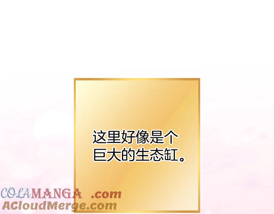 重启地下城 第199话 抵达天堂 第121页