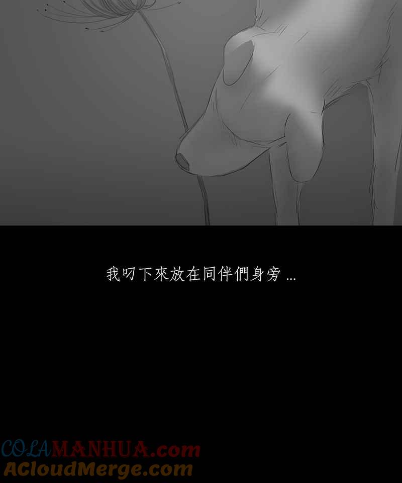 黑盒子 [第4话] 异域 (1) 第11页