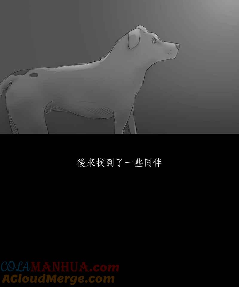 黑盒子 [第4话] 异域 (1) 第7页