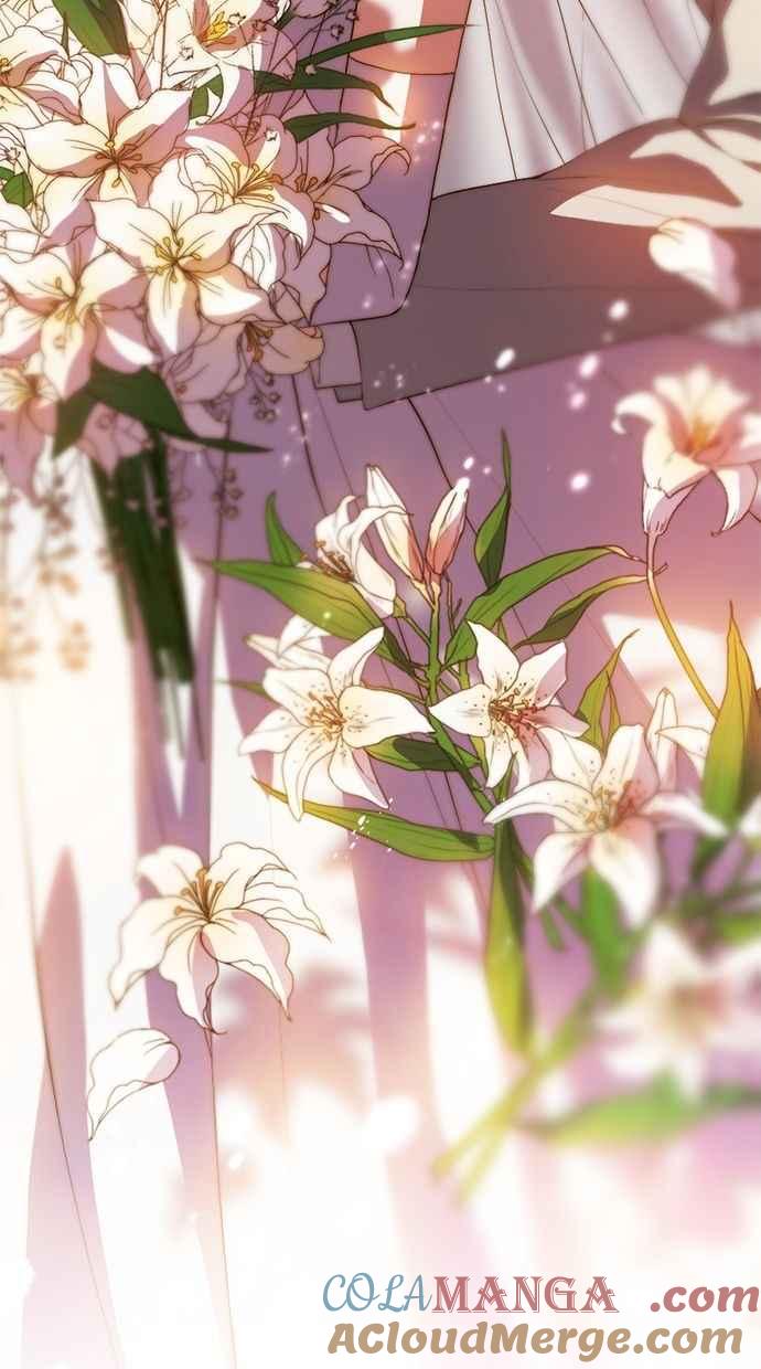 《第三次一见钟情》后记 第25页