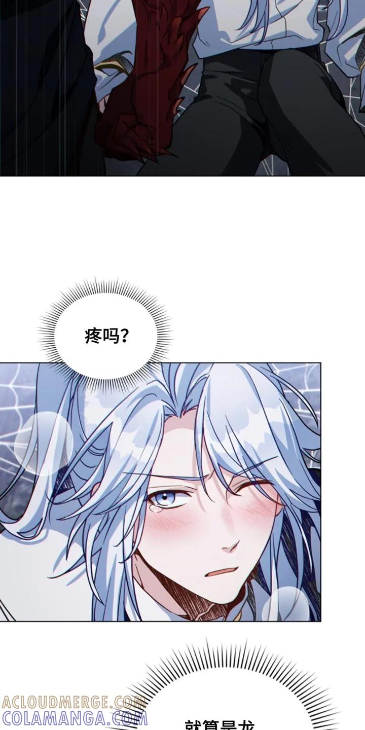 转世白月光 - 第124章：【第二季】往哪逃 - 第7张图