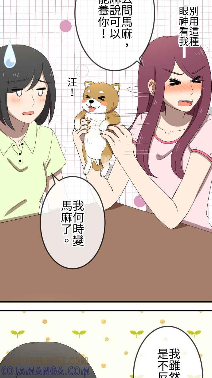 《大城市小女子》第46话 收养 第19页