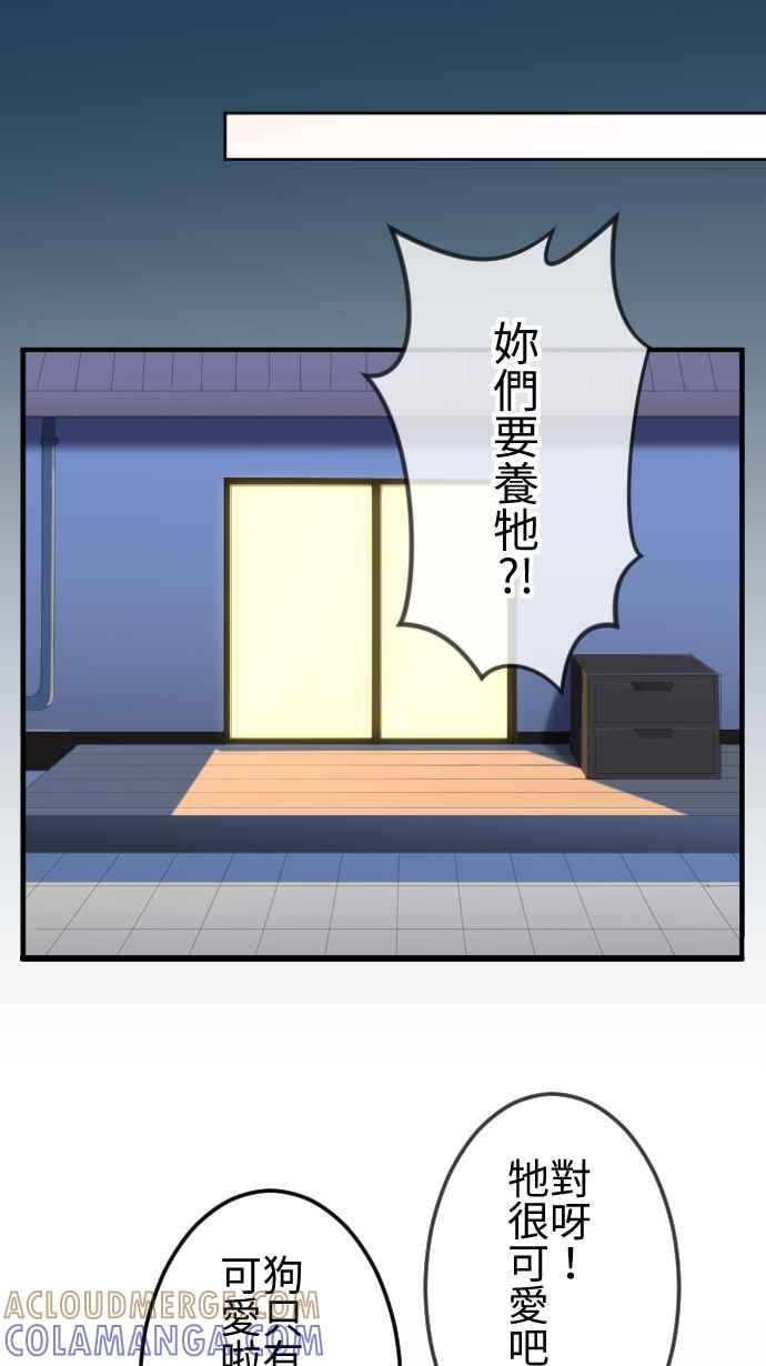《大城市小女子》第46话 收养 第15页