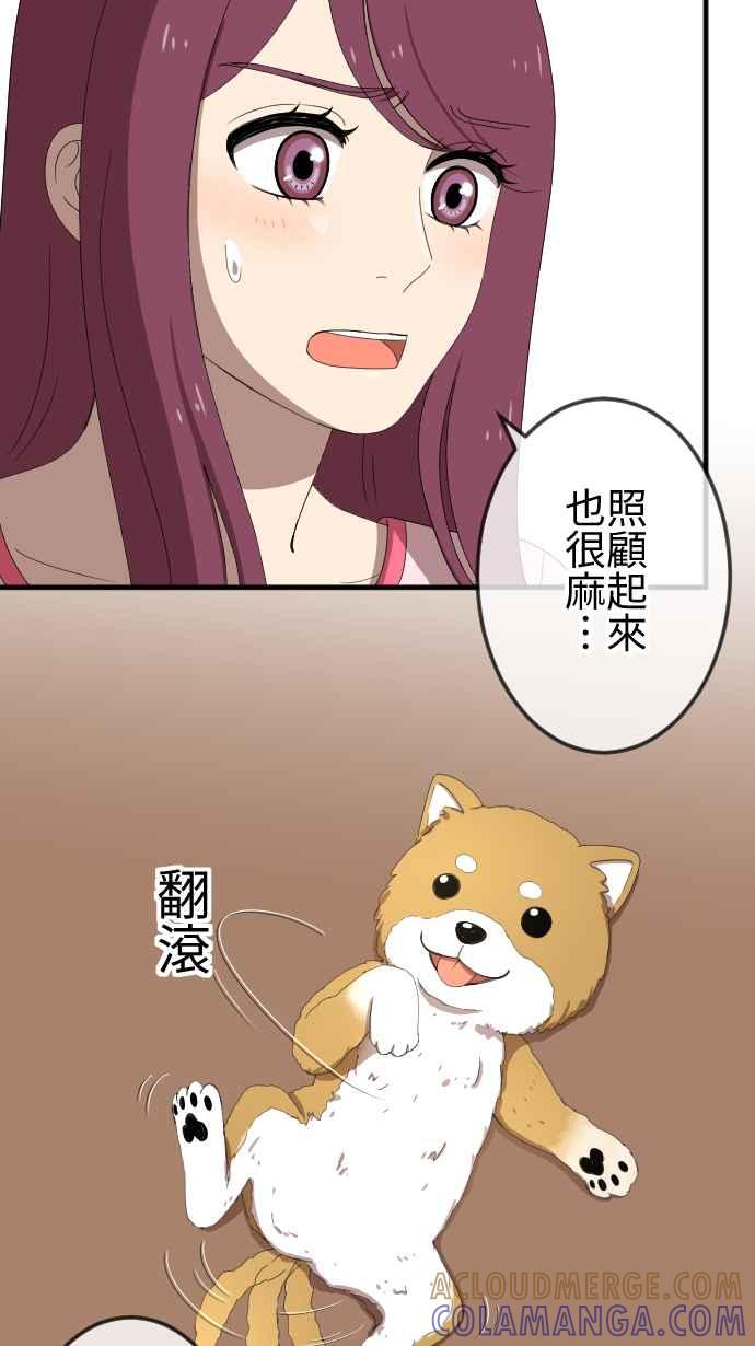 《大城市小女子》第46话 收养 第17页