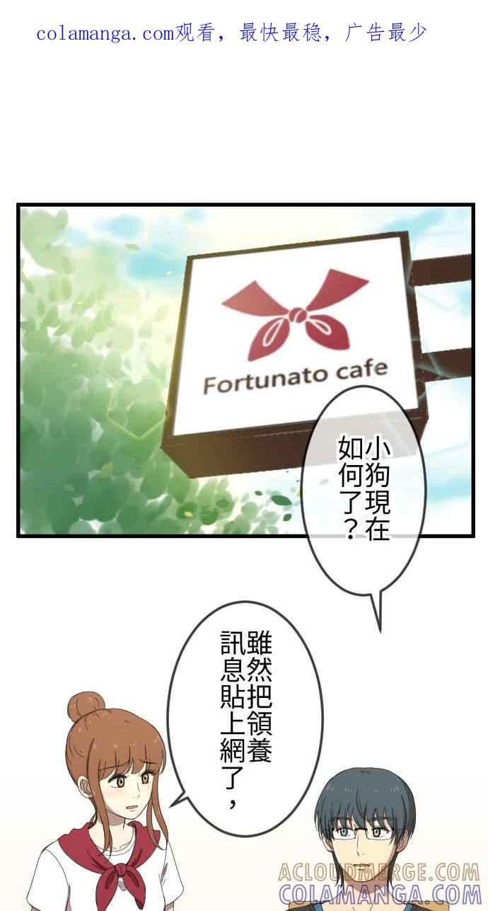 《大城市小女子》第47话 拜访与签名 第1页