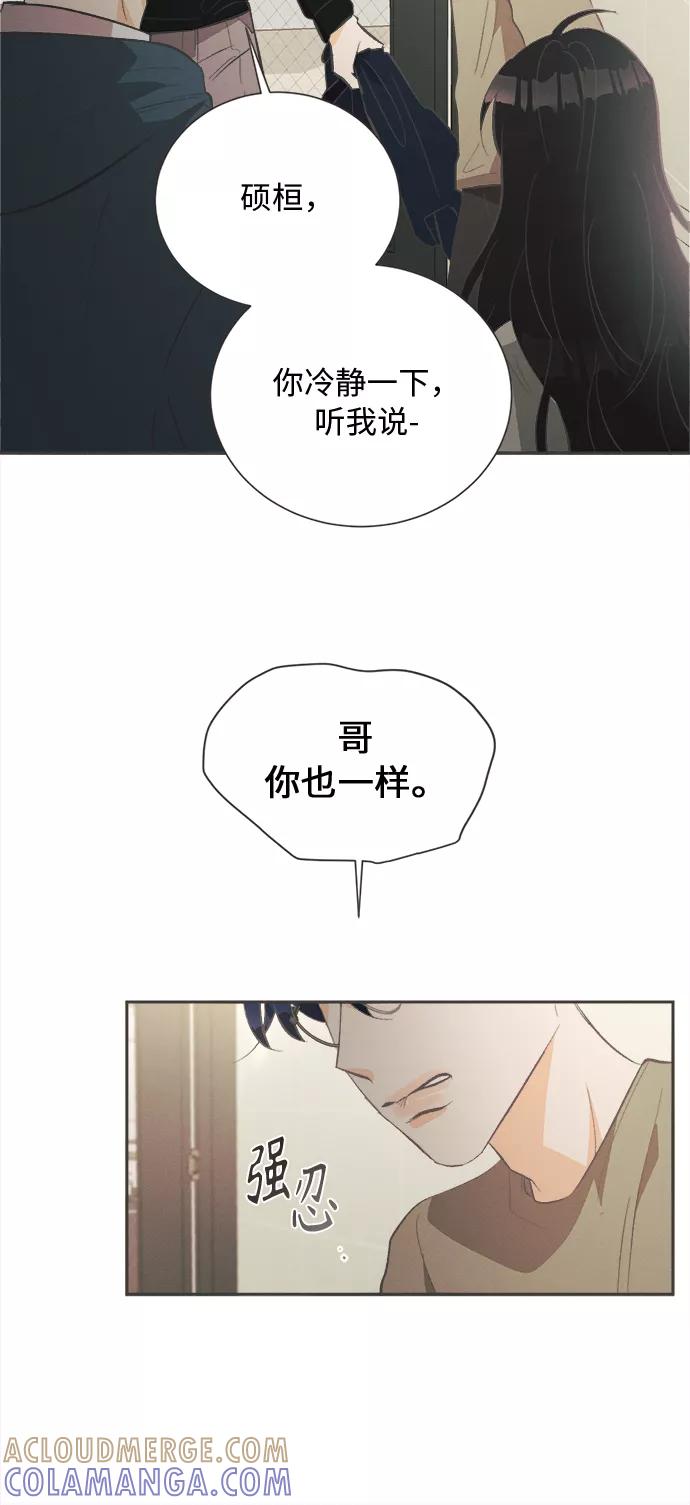 《仲夏，夜之梦》[第27话] 黄玫瑰（5） 第40页