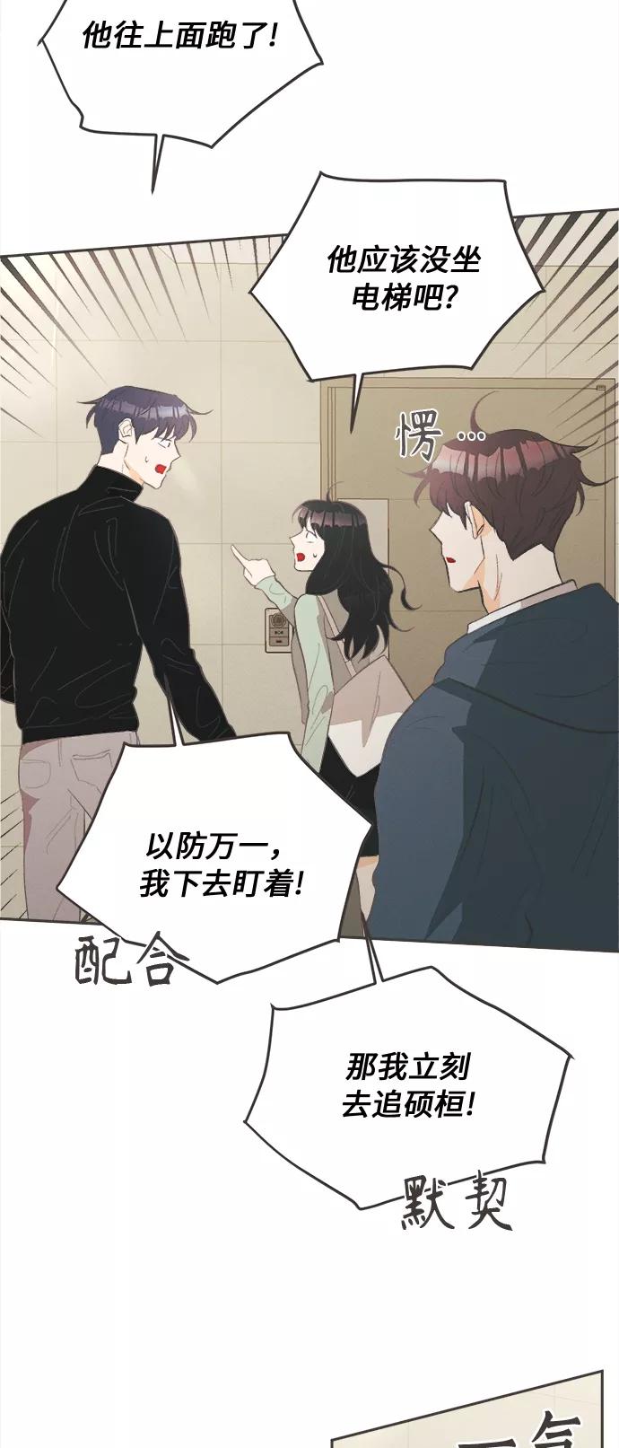 《仲夏，夜之梦》[第27话] 黄玫瑰（5） 第45页