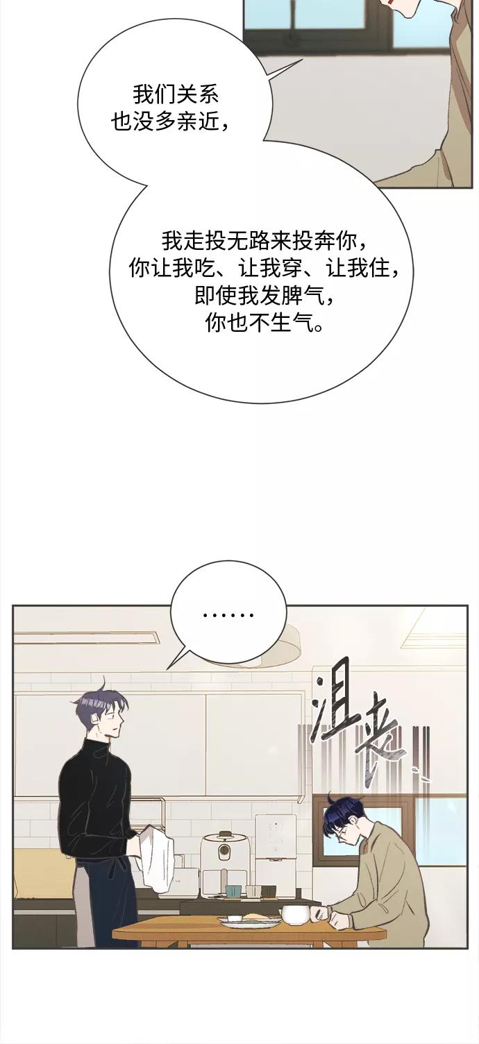 《仲夏，夜之梦》[第27话] 黄玫瑰（5） 第24页