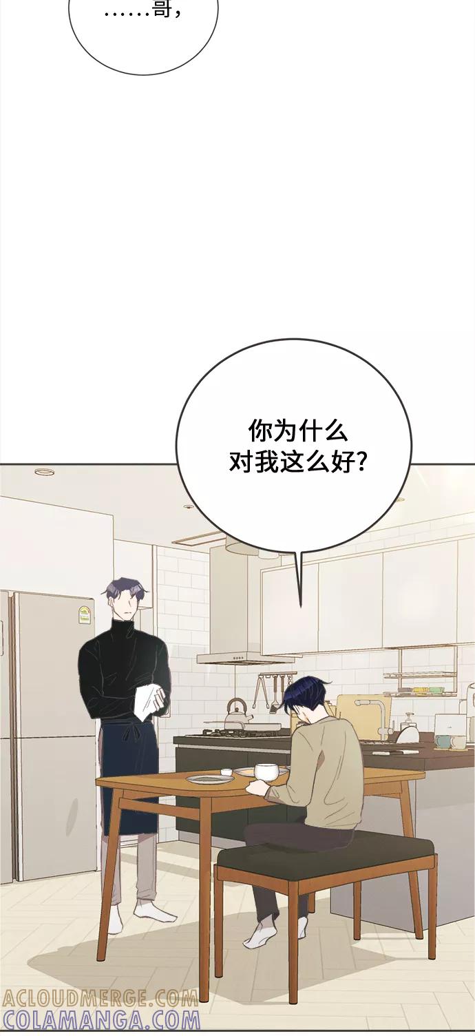 《仲夏，夜之梦》[第27话] 黄玫瑰（5） 第22页