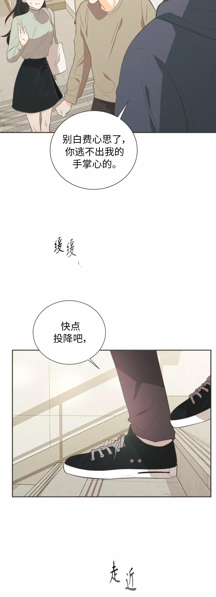 《仲夏，夜之梦》[第28话] 黄玫瑰（6） 第9页