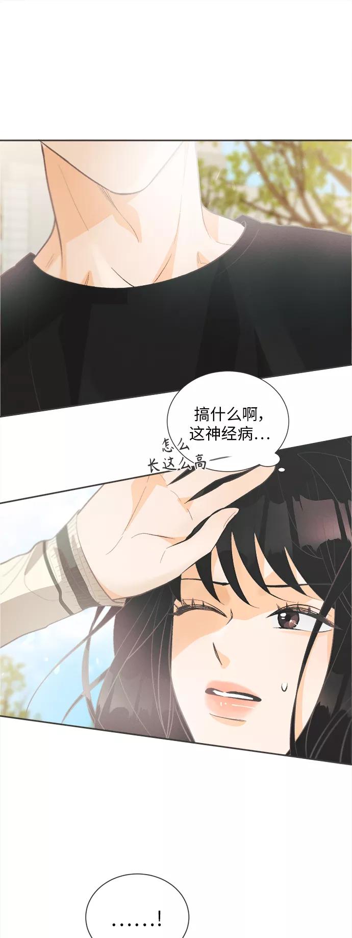 《仲夏，夜之梦》[第41话] 鹅黄小苍兰 (第1季 最终话) 第51页