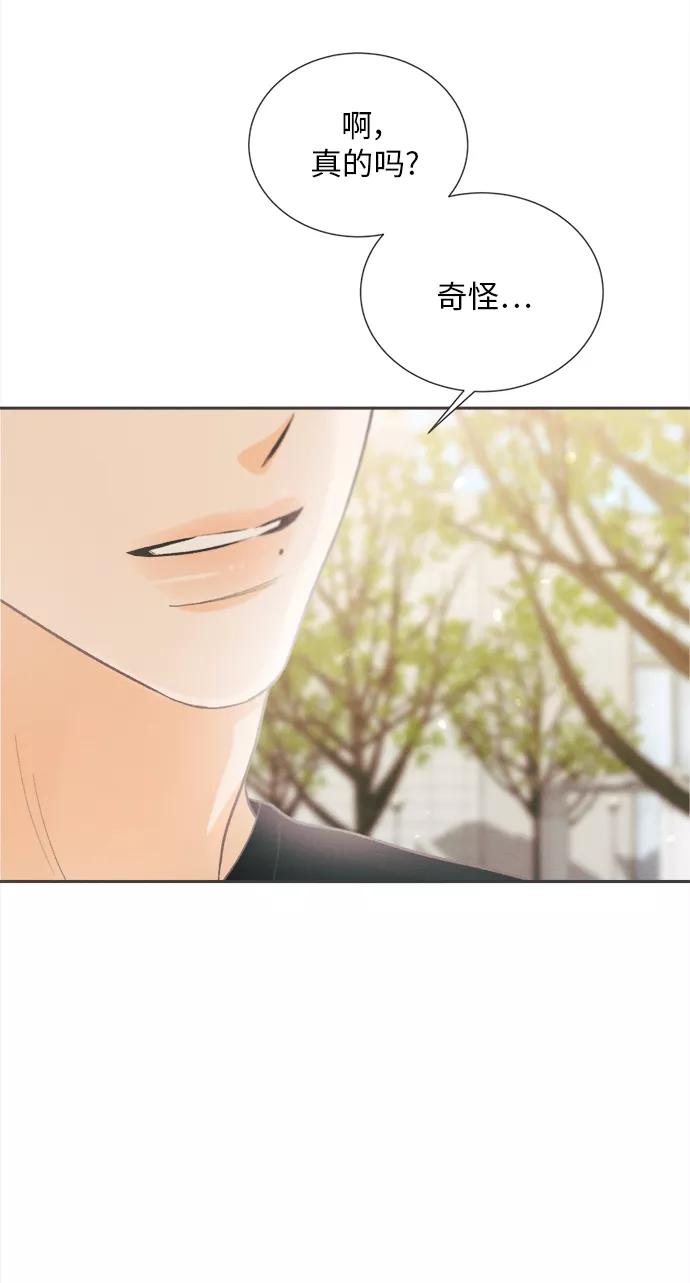 《仲夏，夜之梦》[第41话] 鹅黄小苍兰 (第1季 最终话) 第48页