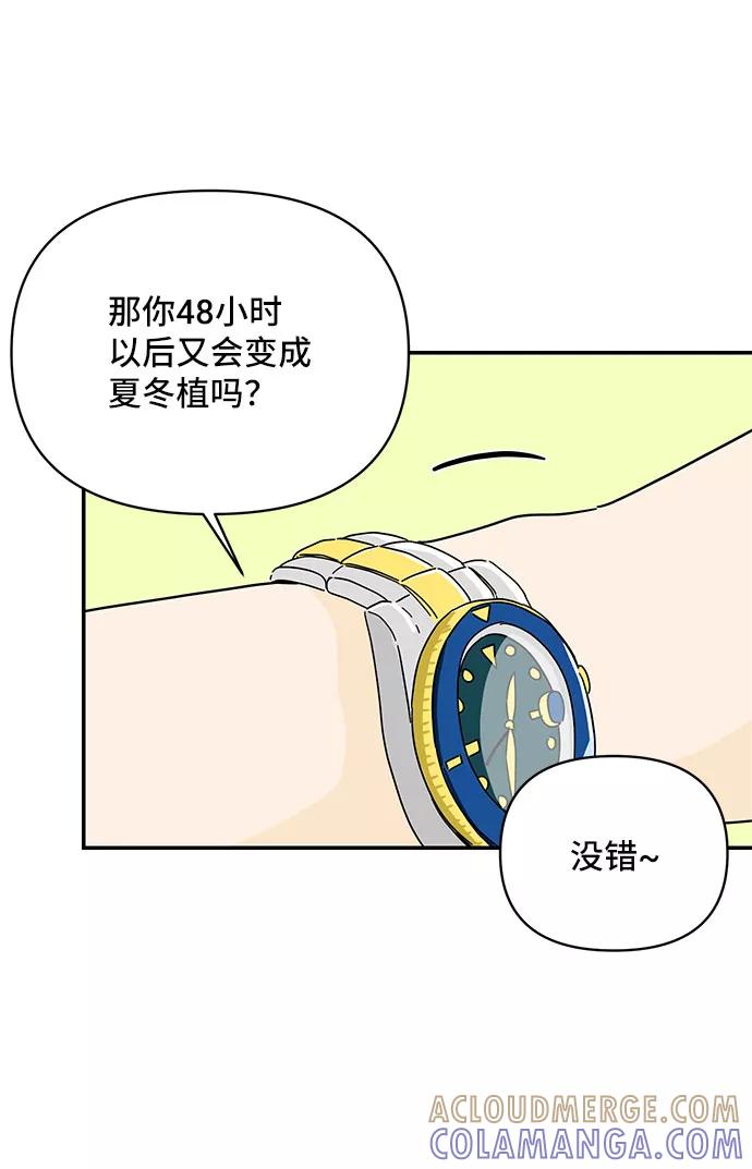 《夏日限定男生》第43话 第25页