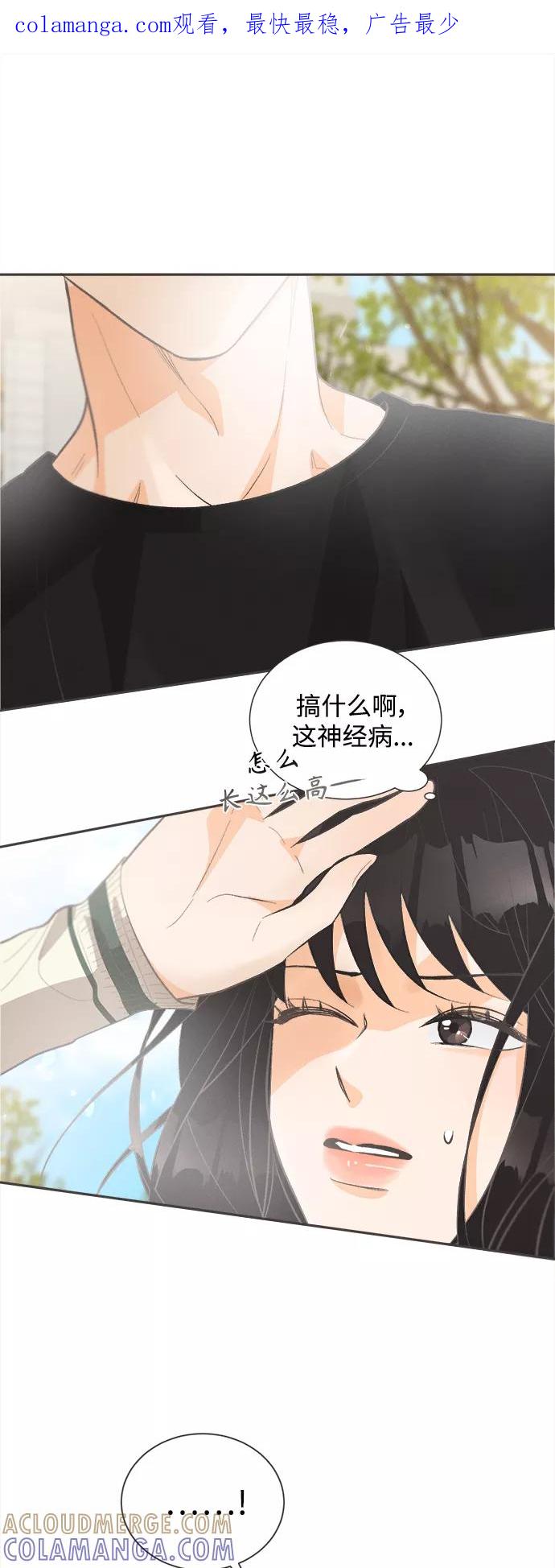 《仲夏，夜之梦》[第47话] 热带雨林玫瑰（1） 第1页